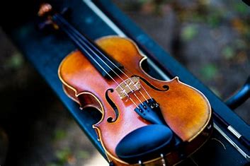 Violín